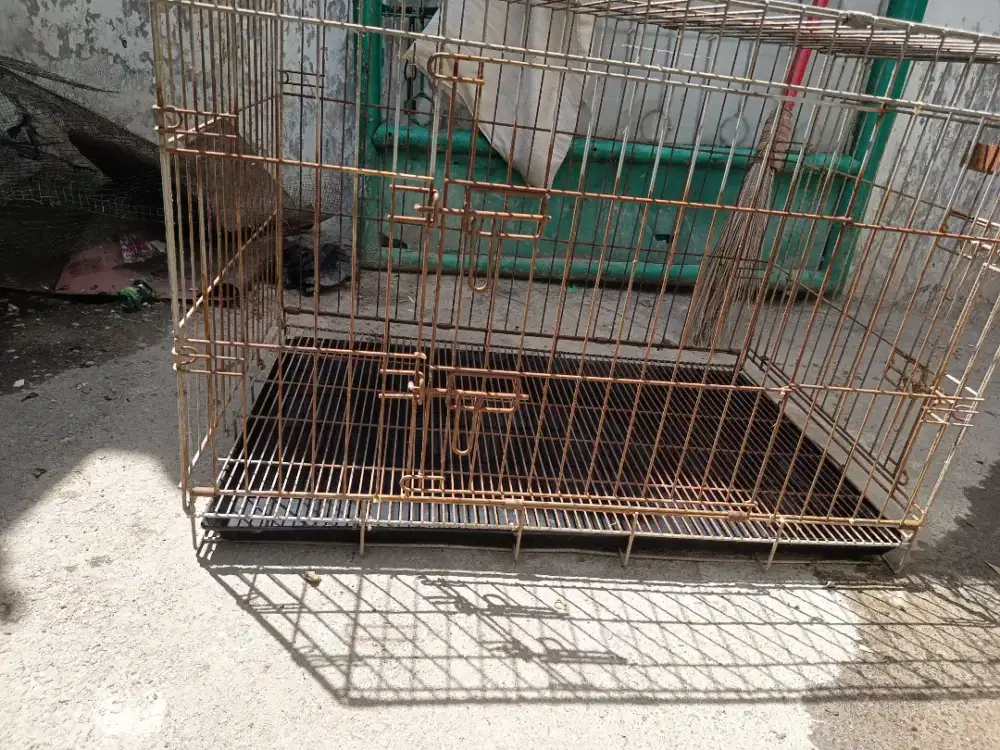 Kandang bekas mau dibuang