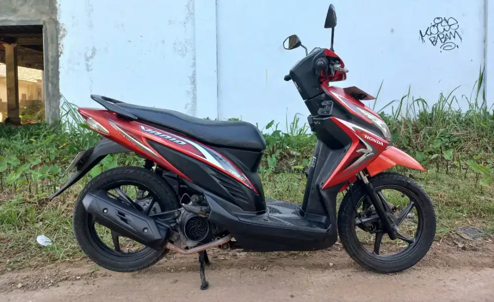 Vario 110 f1 2014