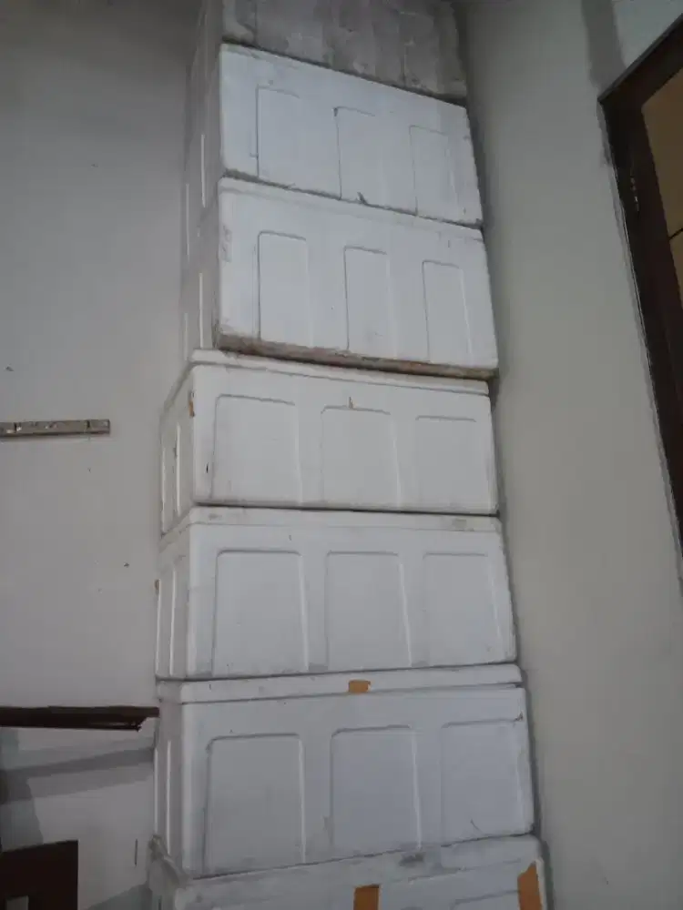 Box Sterefoam Buat Kirim Makanan