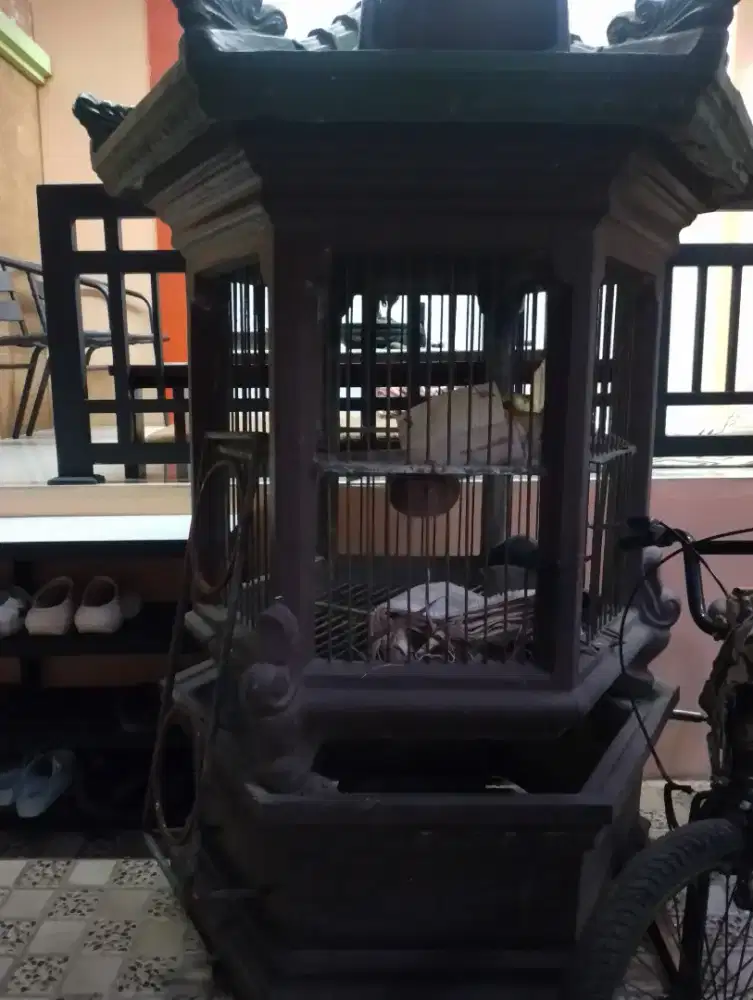 Jual kandang beton cocok untuk burung beo ayam hias dan unggas