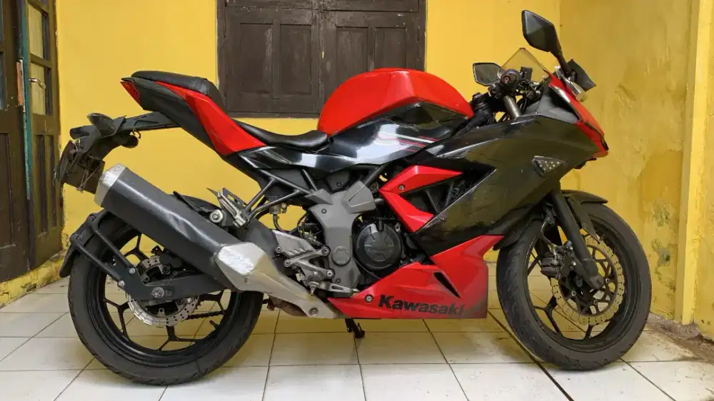 Motor Kawasaki Ninja RR Mono 250 Merah