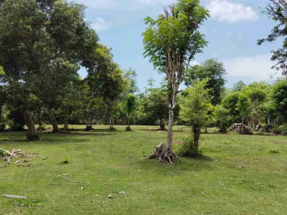 Tanah Strategis dekat dengan Pantai Balangan dan Pantai Dreamland