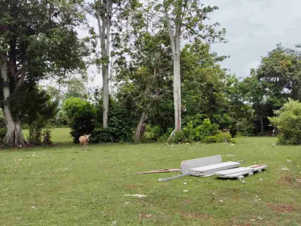 Tanah strategis dekat Pantai Balangan dan Pantai Dreamland