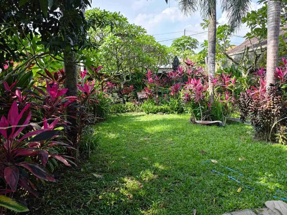 Di Jual Rumah Lantai 1 dekat Gua Gajah