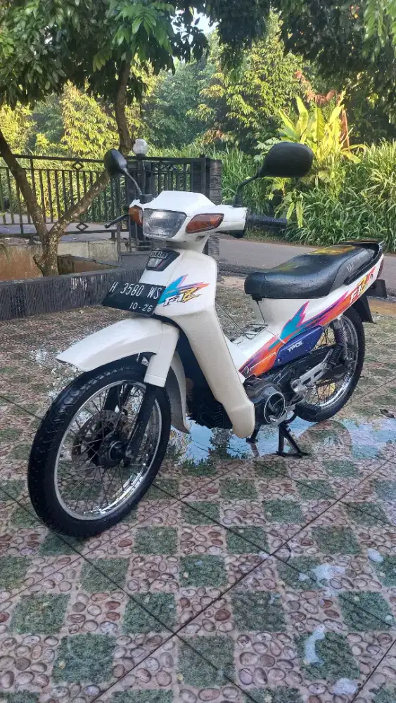 Fiz albino cat orisinil