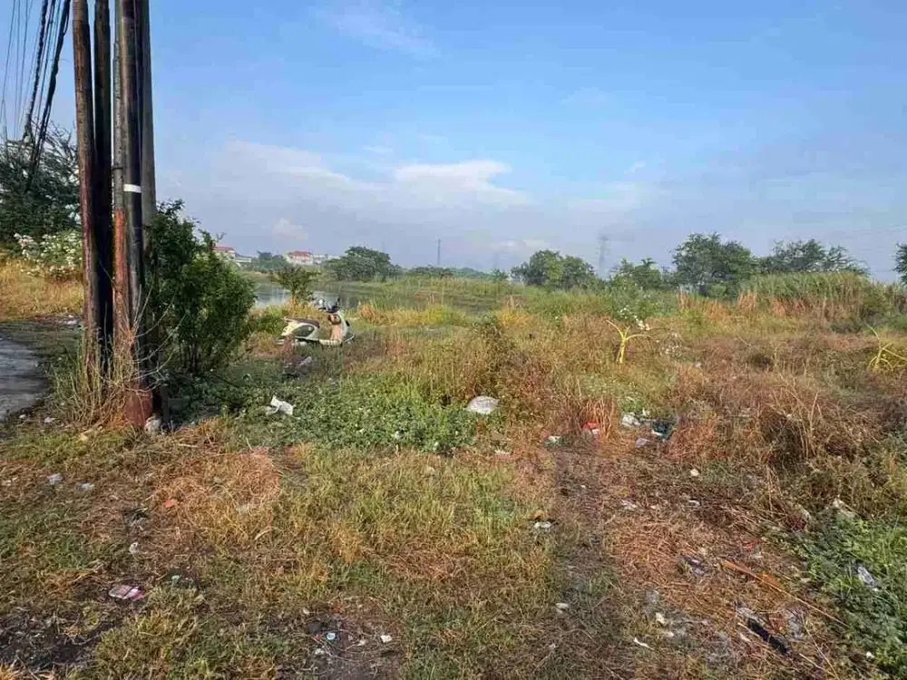 JUAL TANAH BENOWO PAKAL RAYA JAWAR LUAS 1000 MURAH BAGUS JARANG ADA SHM