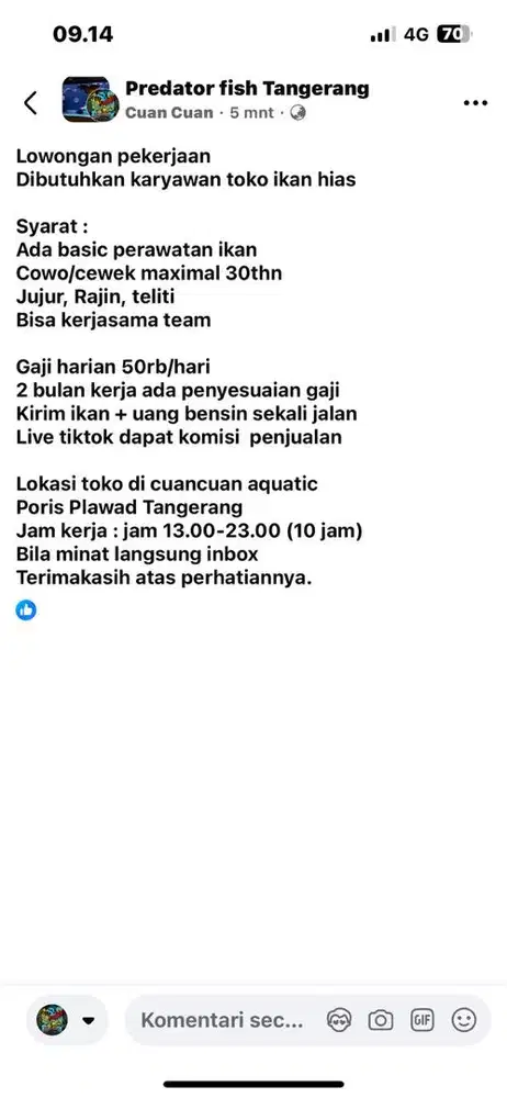 Jaga toko ikan hias