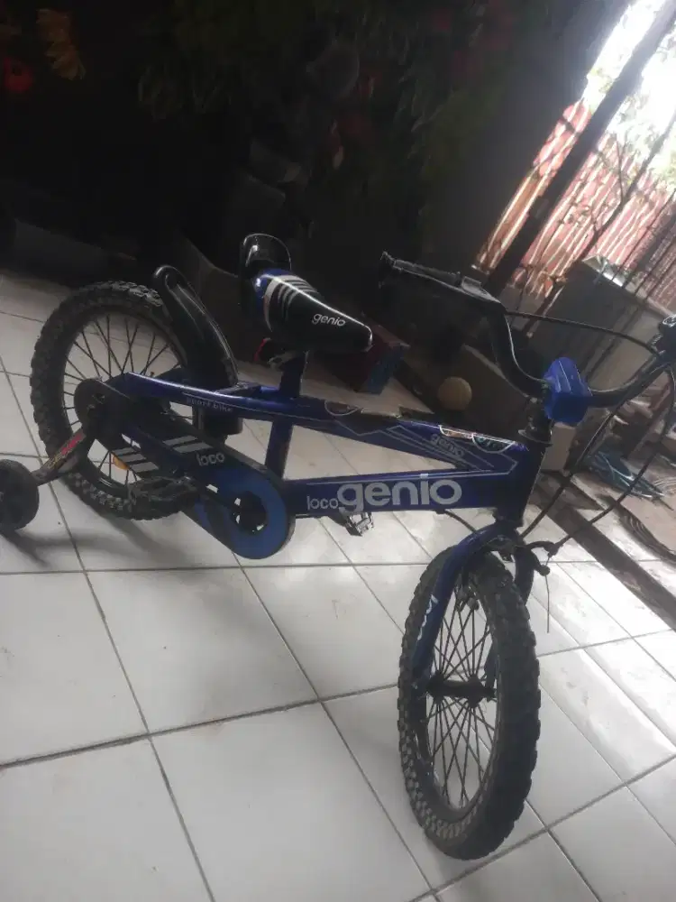 BMX LOCO GENIO ISTIMEWA