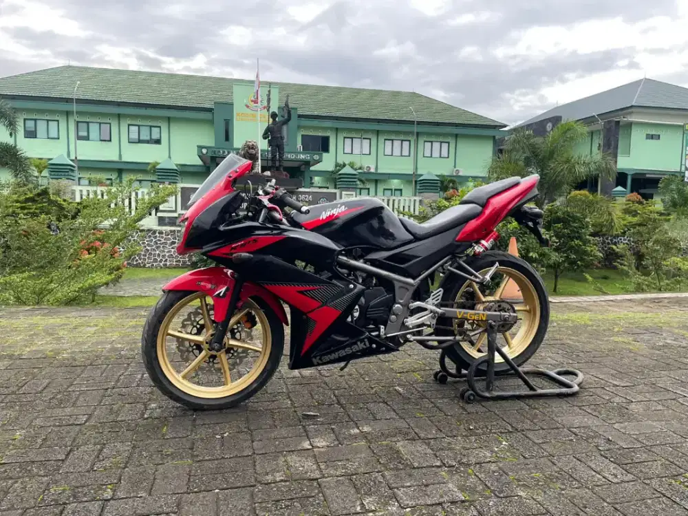 Ninja rr new hedon murah
