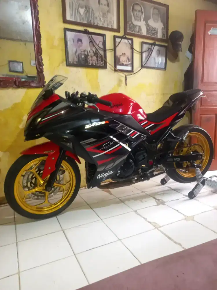 Kawasaki ninja 250cc SE 2013