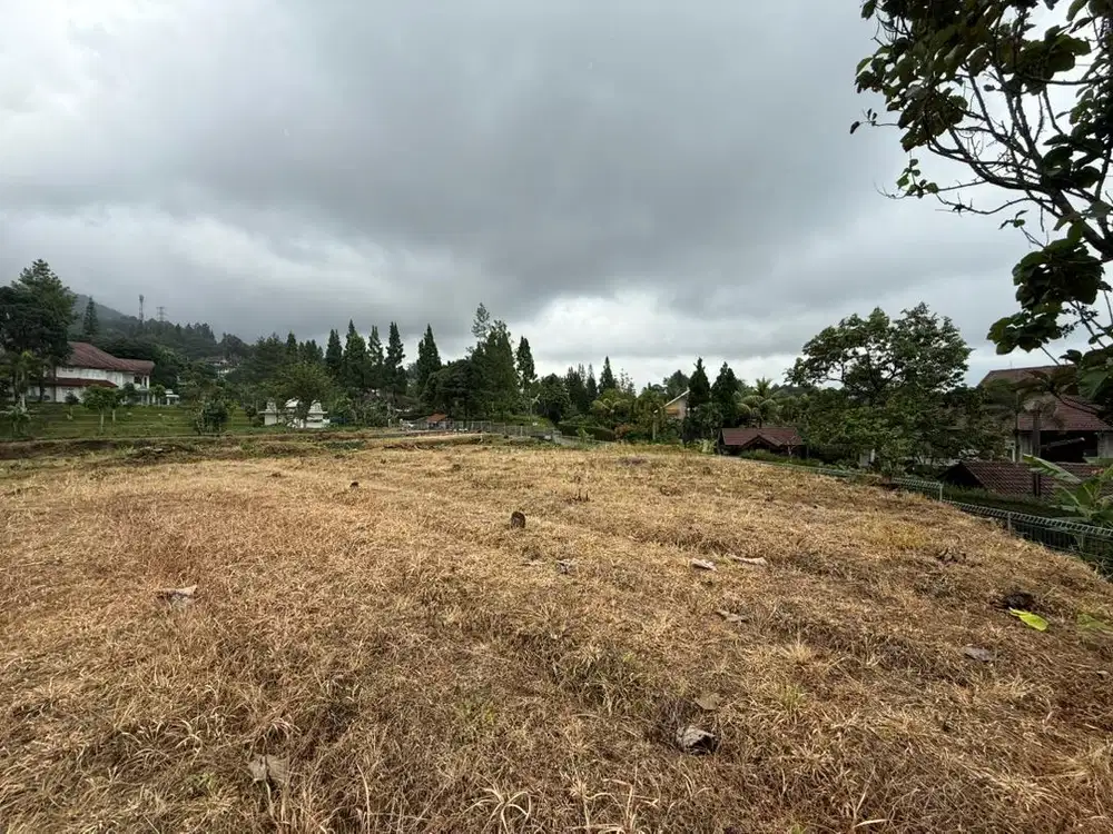 Dijual tanah di puncak murah dan strategis