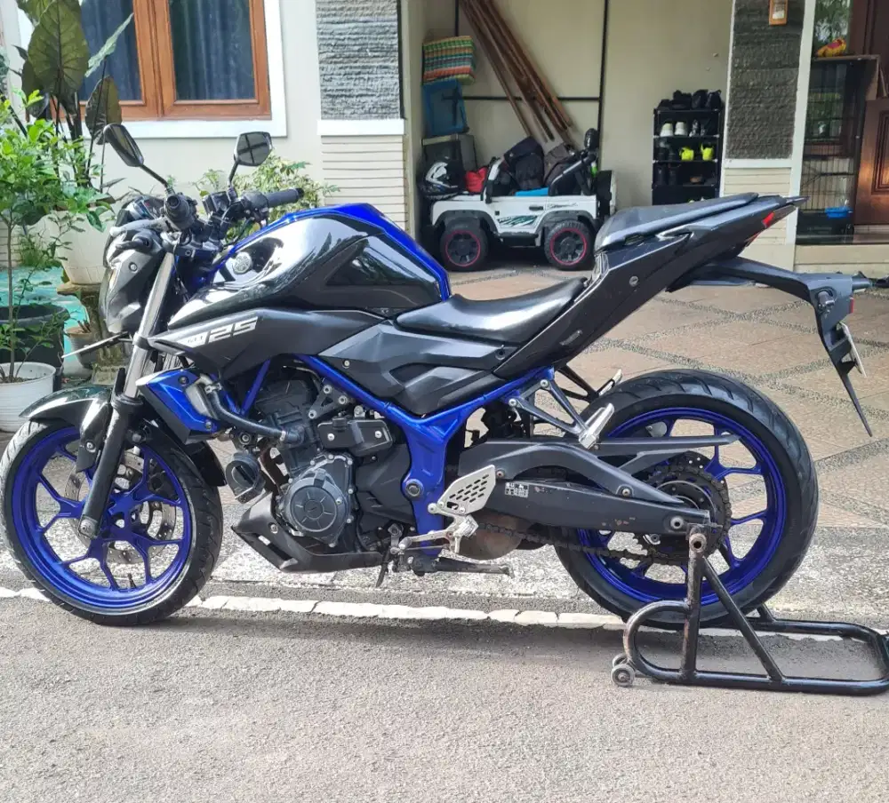 MT 25 thn 2017 (pajak hidup 10/2026)