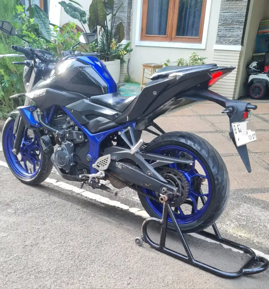 MT 25 thn 2017 (pajak hidup 10/2026)