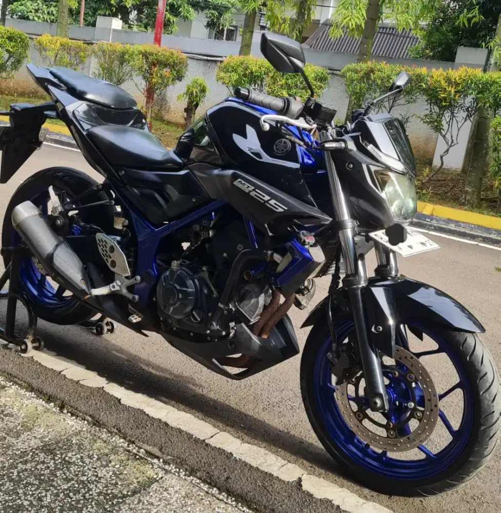 MT 25 thn 2017 (pajak hidup 10/2026)