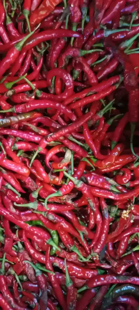 Lowongan kerja rumah makan dan sayuran dan santan