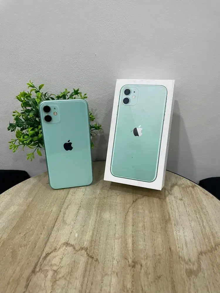 IPhone 11 128GB Green mulus Fullset BH 87% Sinyal Permanent
