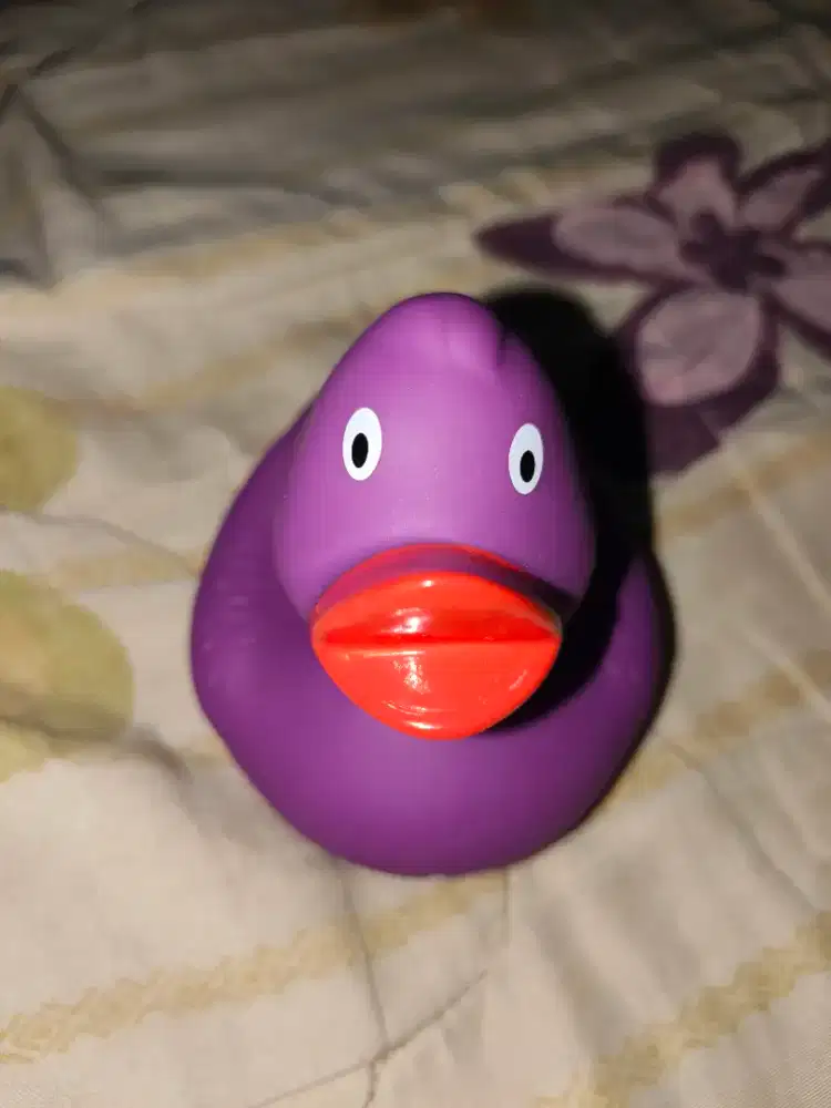 PRELOVED Bebek Mainan Like new (tinggal di bersihkan saja) -HSC2025