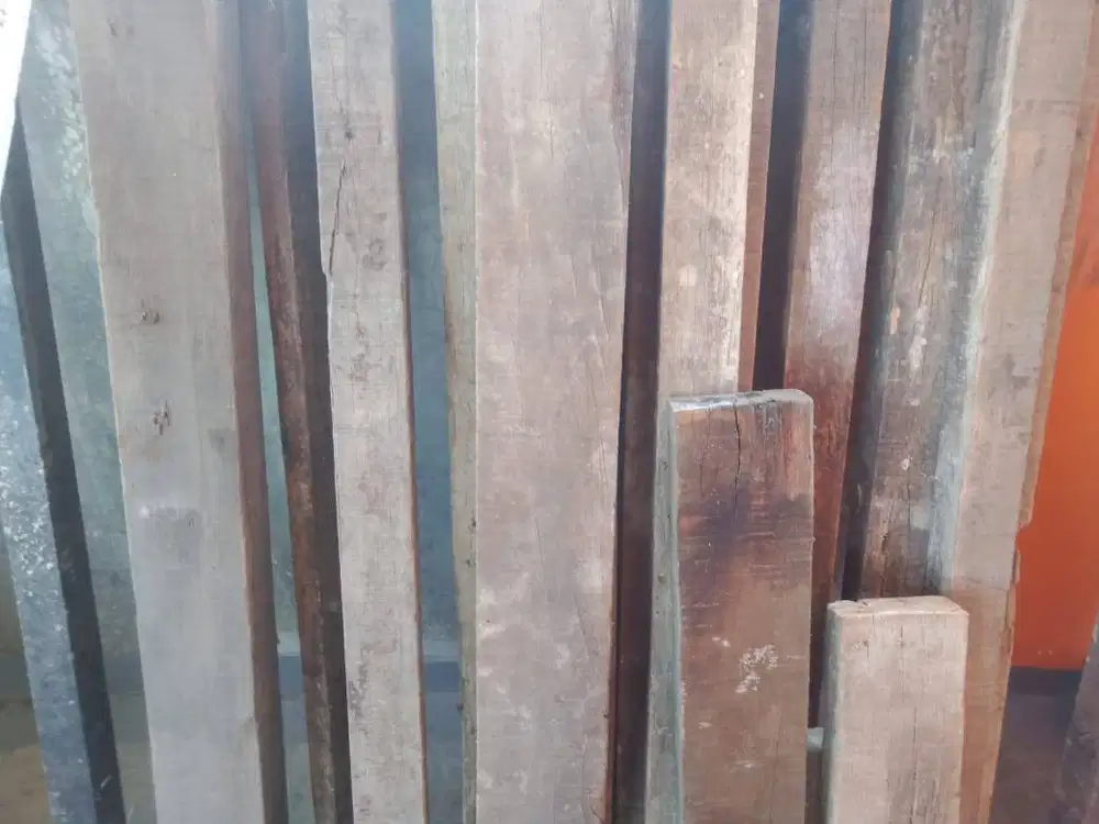 kayu kruing kalimantan