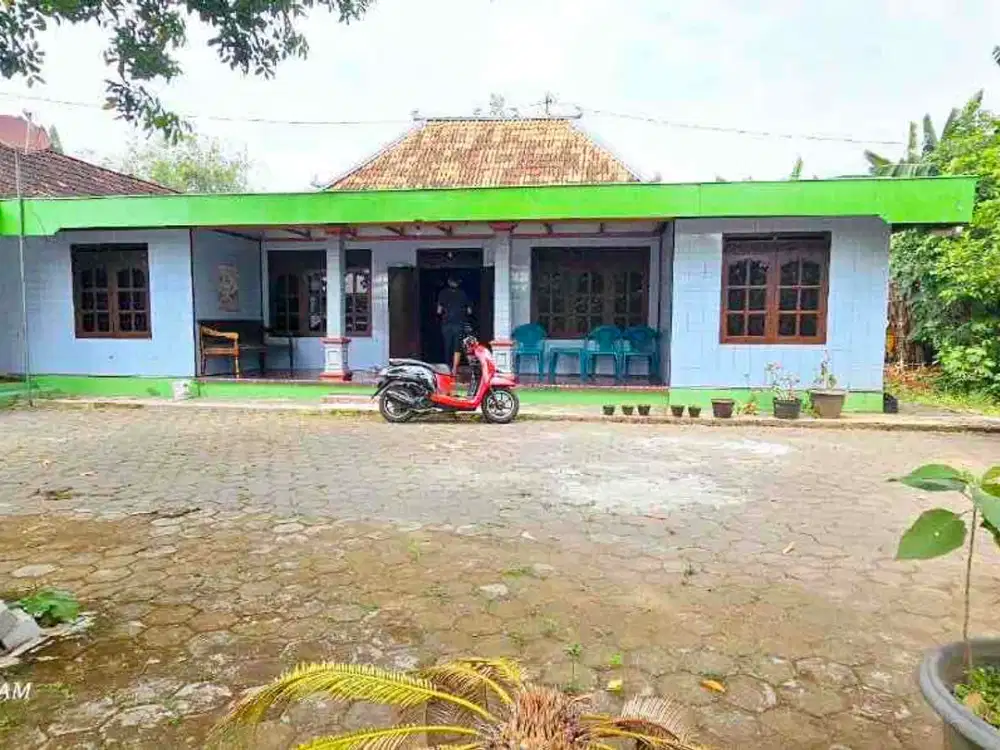 Rumah Dengan Halaman Luas Suasana Pedesaan Dekat Jalan Raya