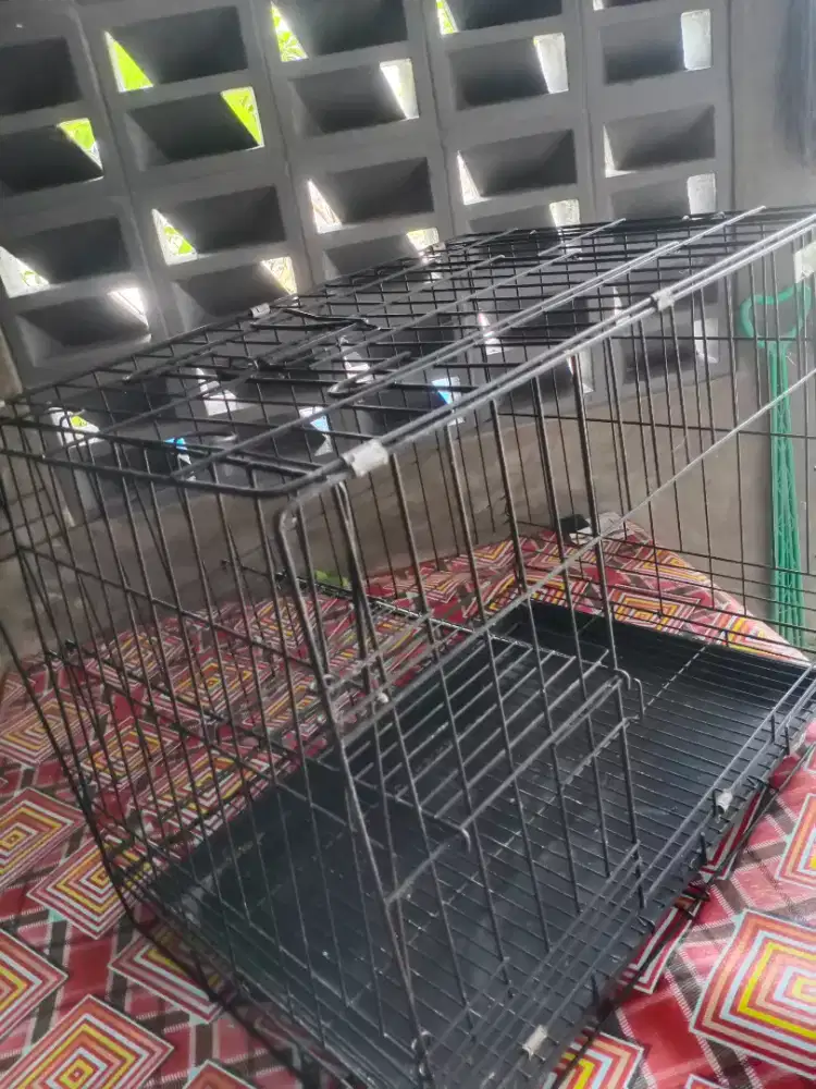 kandang kucing medium 60 x 40