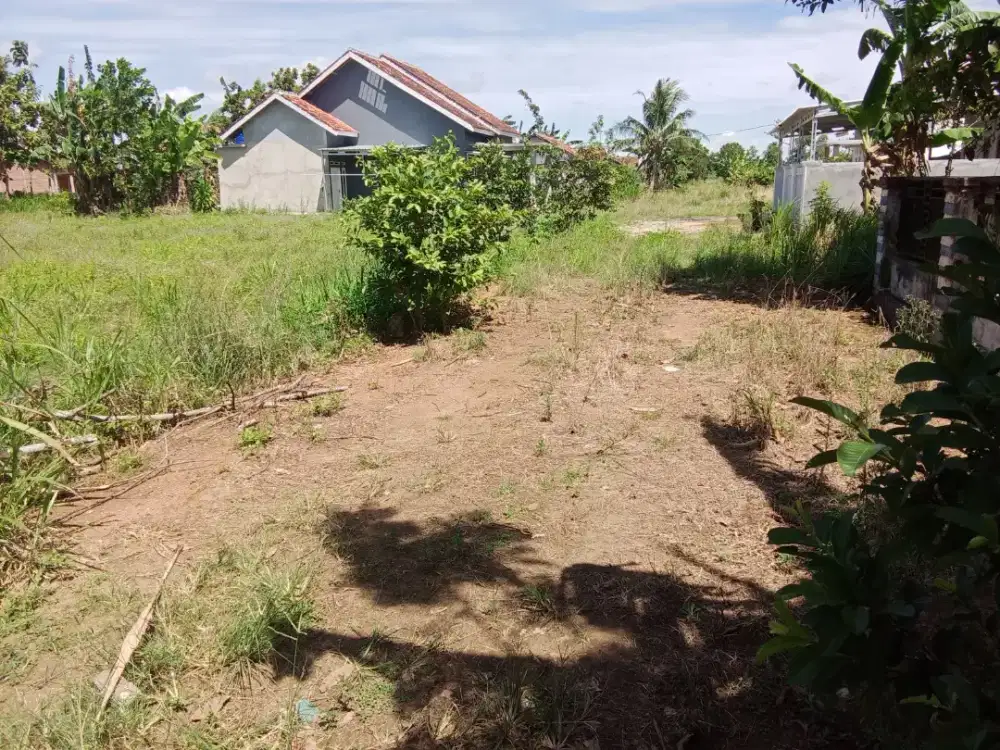 Jual cepat tanah sertipikat