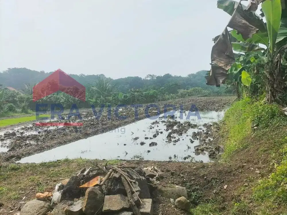 Tanah luas dipinggir Jalan Raya Provinsi , exit tol Purwodadi Pasuruan