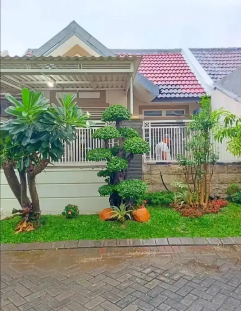 Spesialis pembuat Taman dan kolam koi