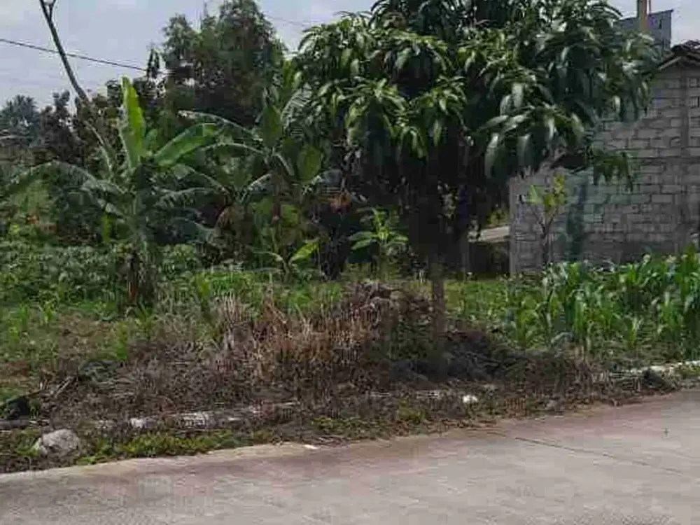Dijual tanah lahan zona industri luas 3656 m di pringapus, kabupaten Semarang