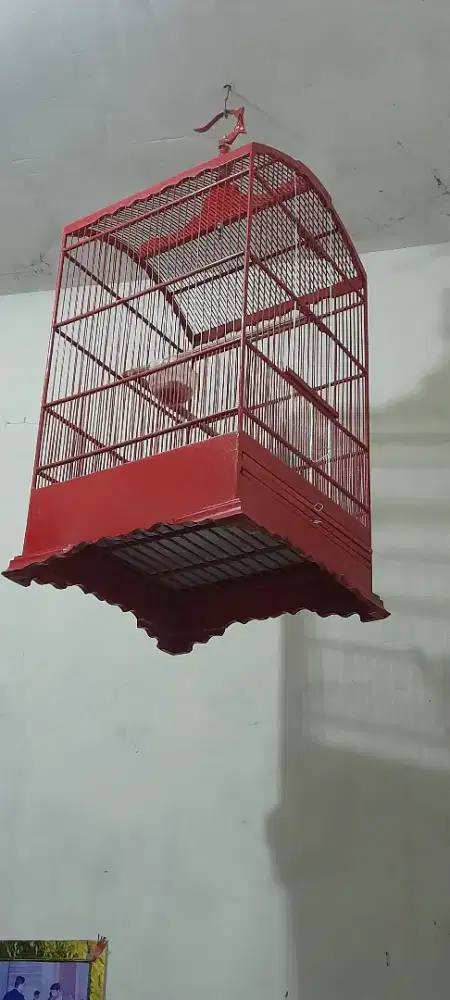 Sangkar kosan uk 40x40 fullset