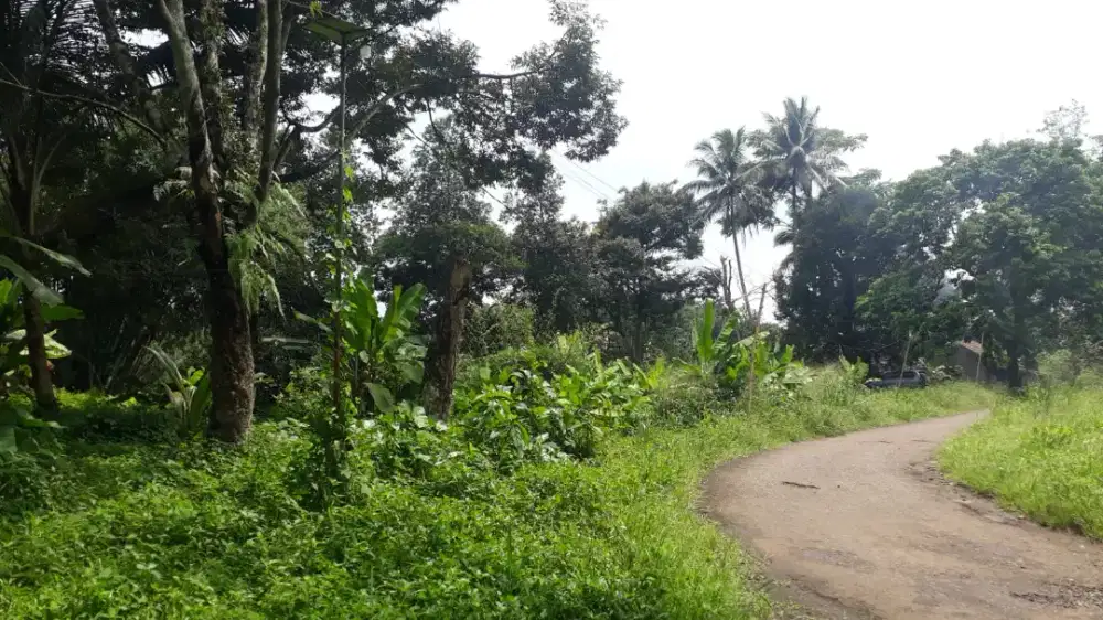 JUAL MURAH, COCOK UNTUK USAHA TANAH KAVLING