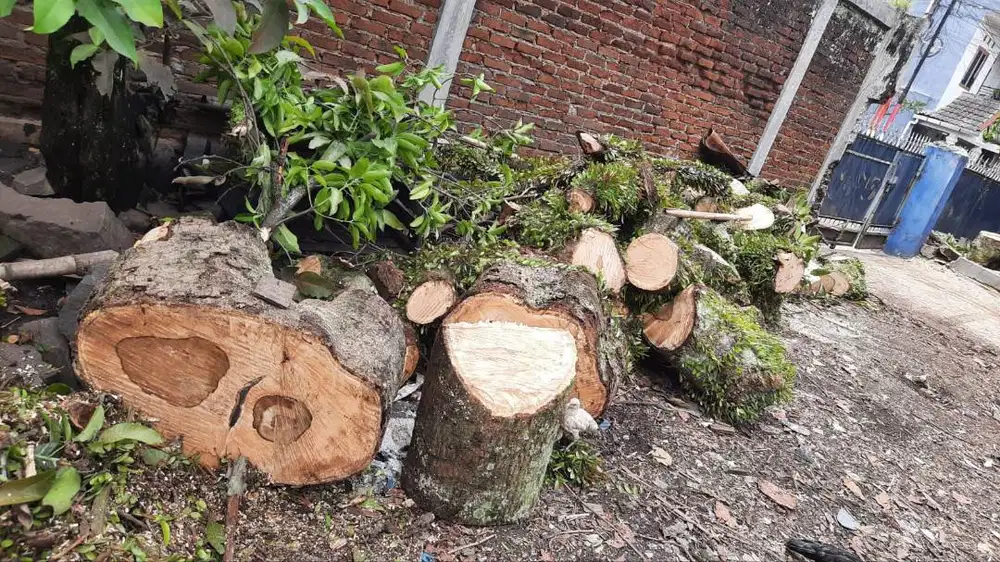 Dibutuhkan tenaga Akunting yang mengerti perpajakan