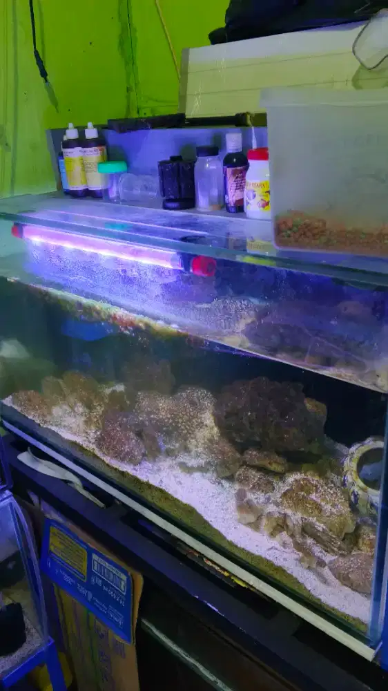 Aquarium 80x40x40 kaca 8mm Fullsheet