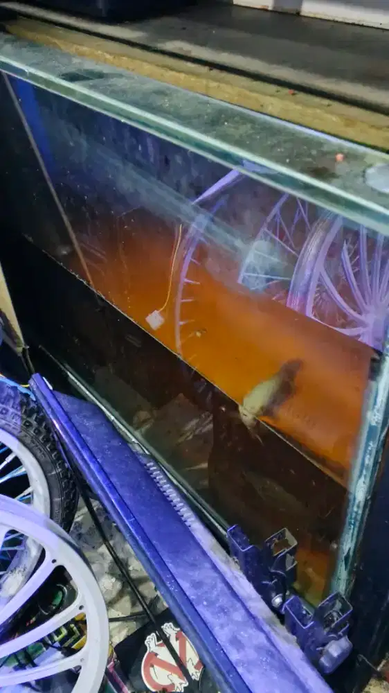 Aquarium 100x50x50 kaca 10mm Fullsheet