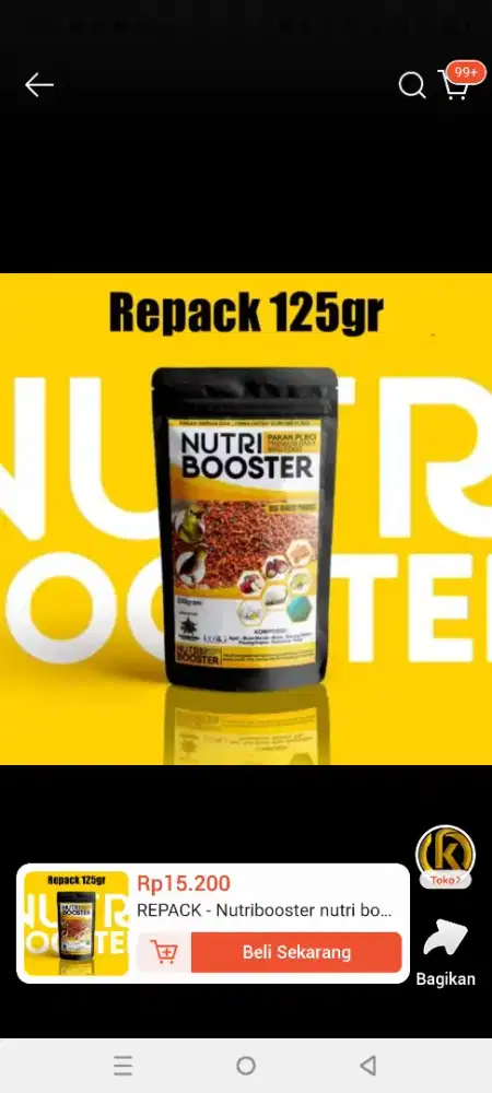 PRIA SINGEL 18-25 THN