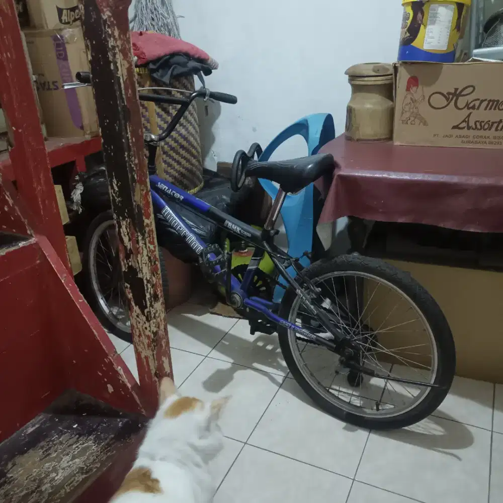 Sepeda BMX Senator Hyperninova