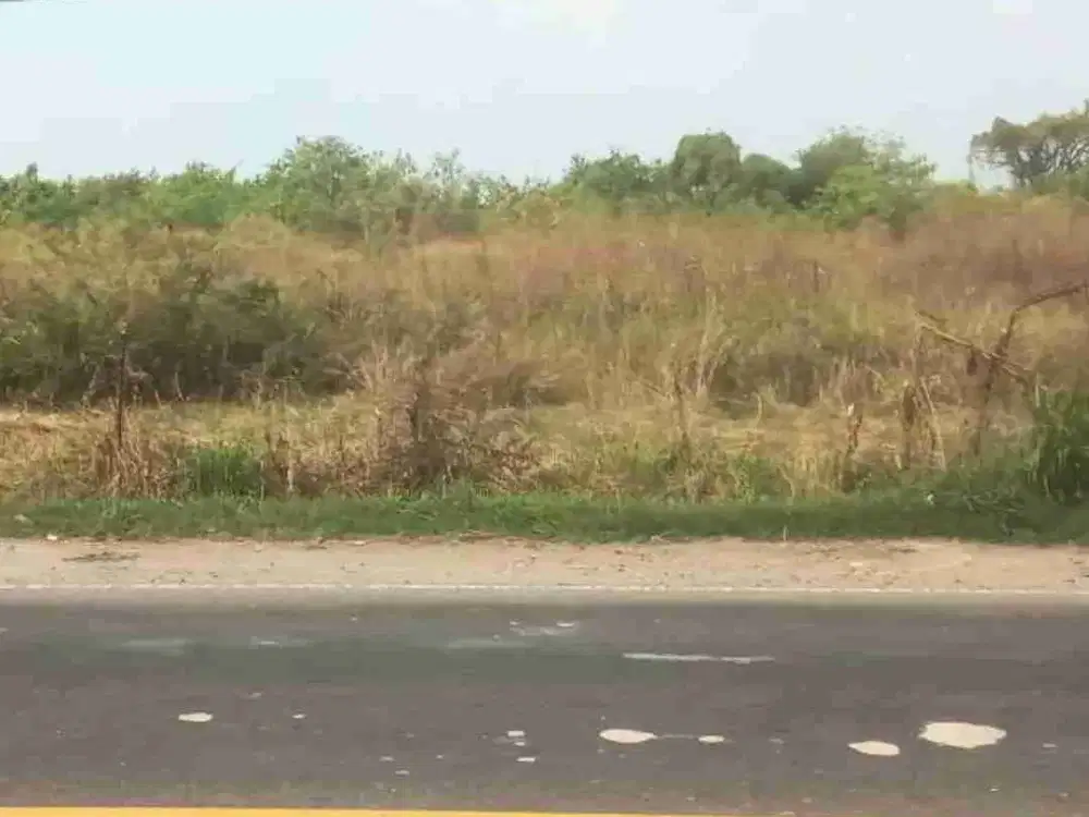 Dijual Tanah Industri Siap Bangun di Nol Raya Manyar Gresik Sudah Urugan Dekat Tol Manyar