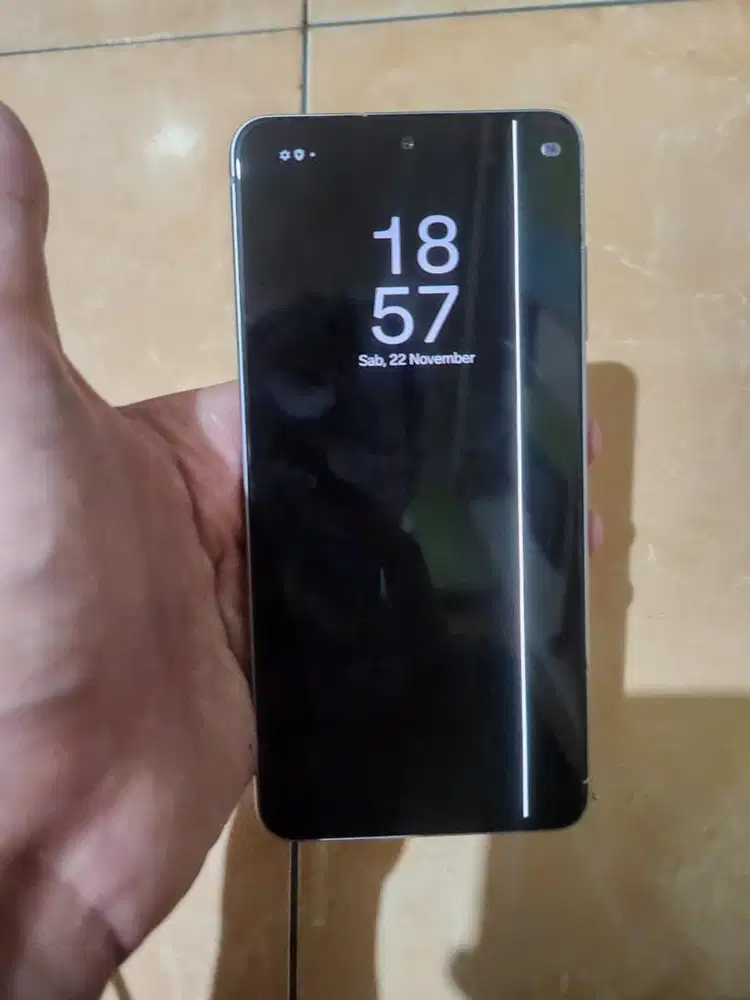 Jual s21 fe 8/256 ex sein minus garis 1 unit only lok Pandeglang