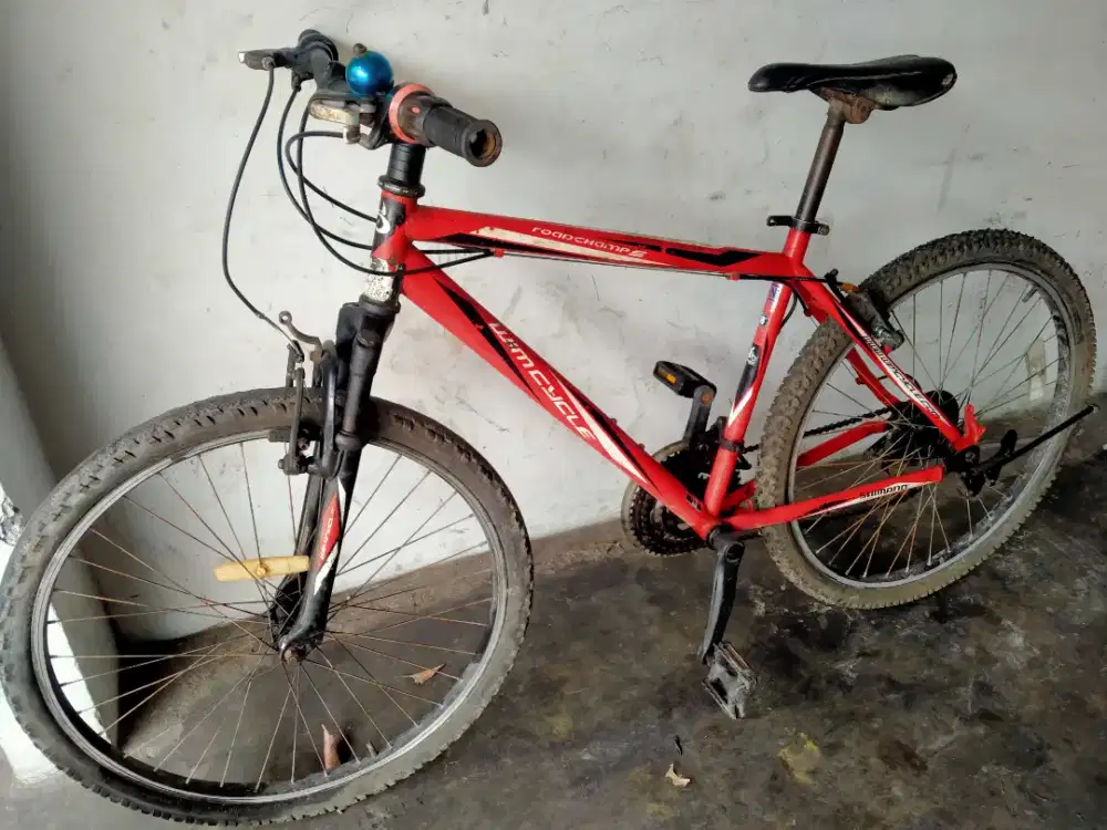 Wymcycle Roadchamp S ring 26