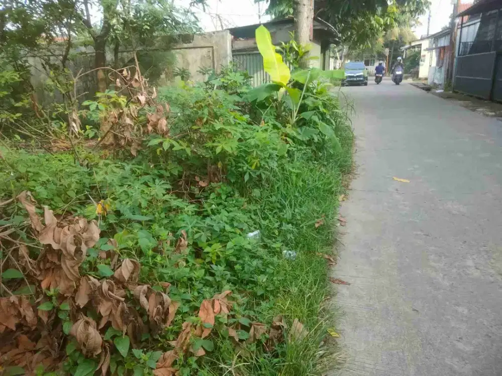 Jual Tanah SHM di Grogol limo jl kampung sawah  depok luas 535 m2
