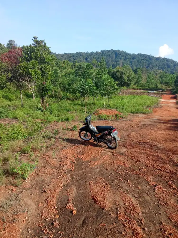 Jual Tanah Kavling tanjung pinang