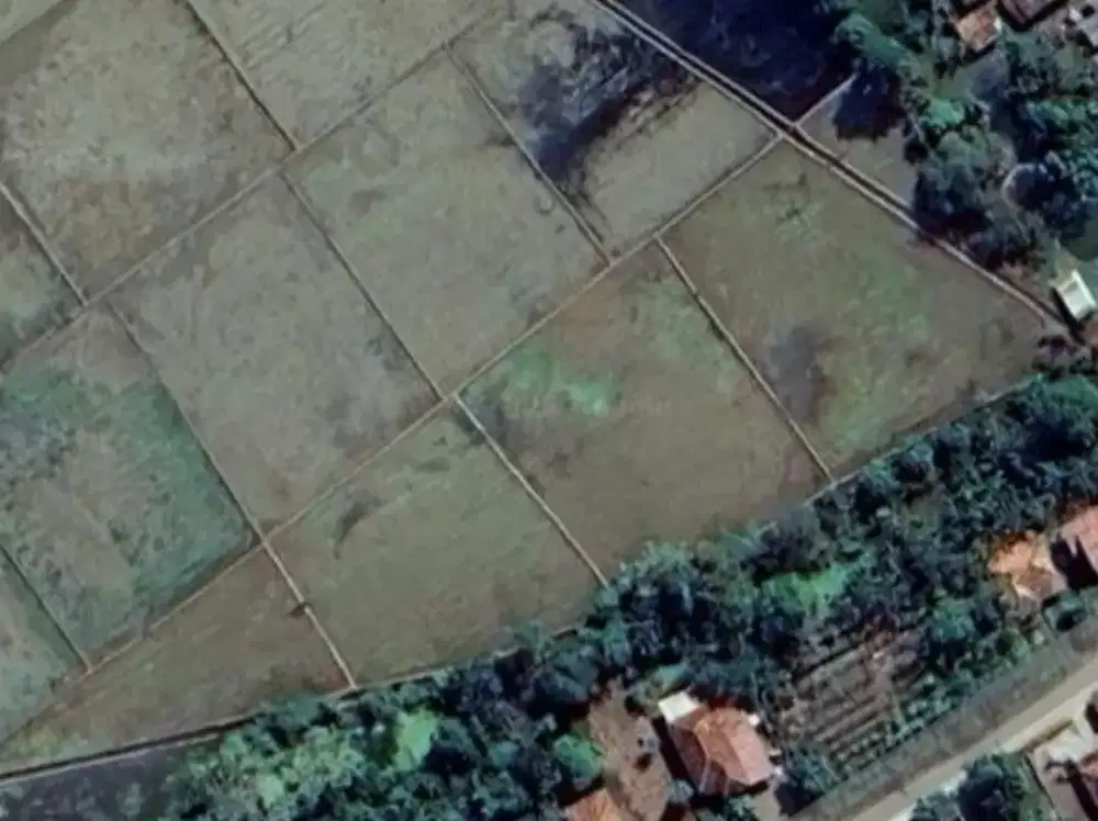 Dijual Tanah Sawah Murah Pamanukan