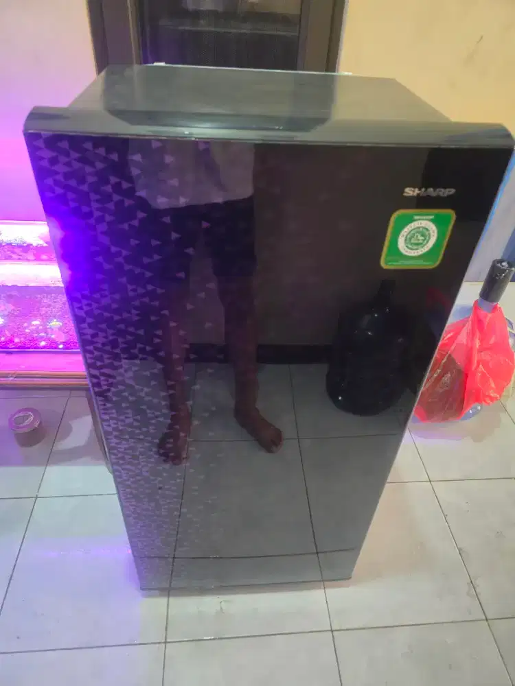 kulkas 1 pintu sharp