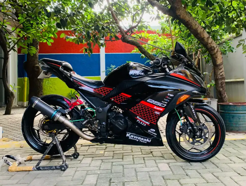 Kawasaki ninja 250 fi