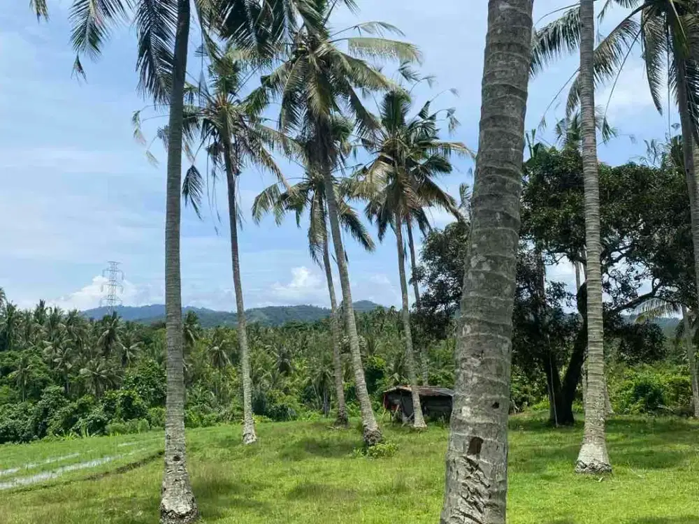 jual tanah dekat pantai soka dan pantai balian Tabanan