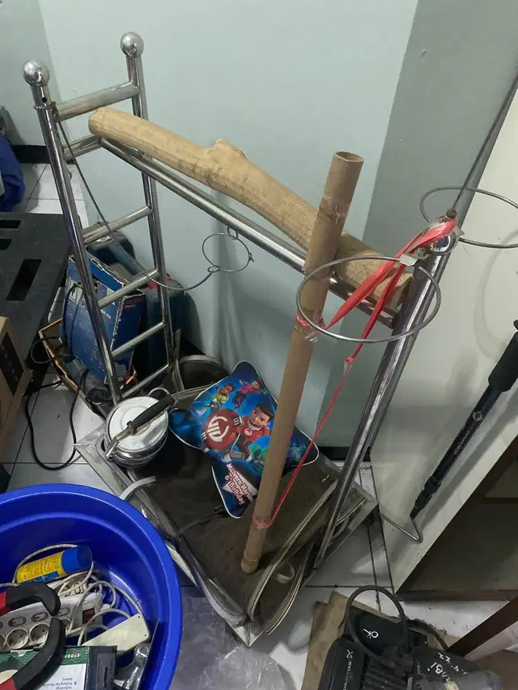 Tangkringan parrot big size