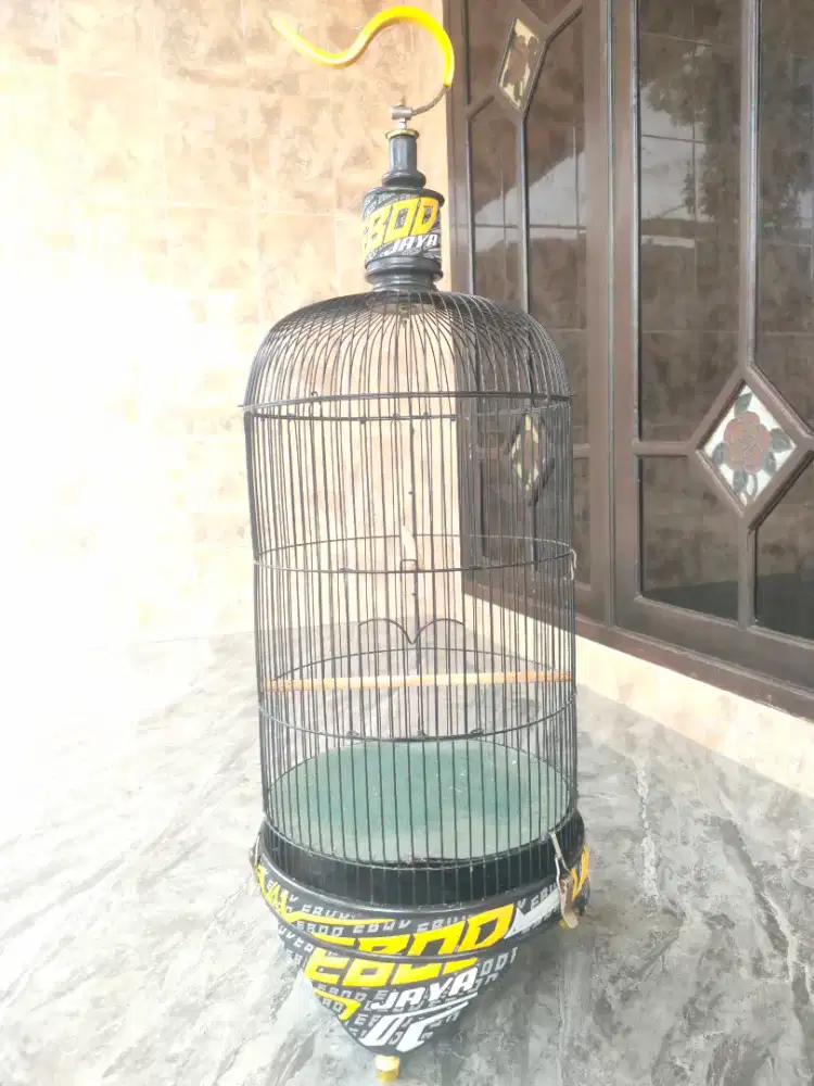 Jual sangkar burung Lovebird Ebod jaya