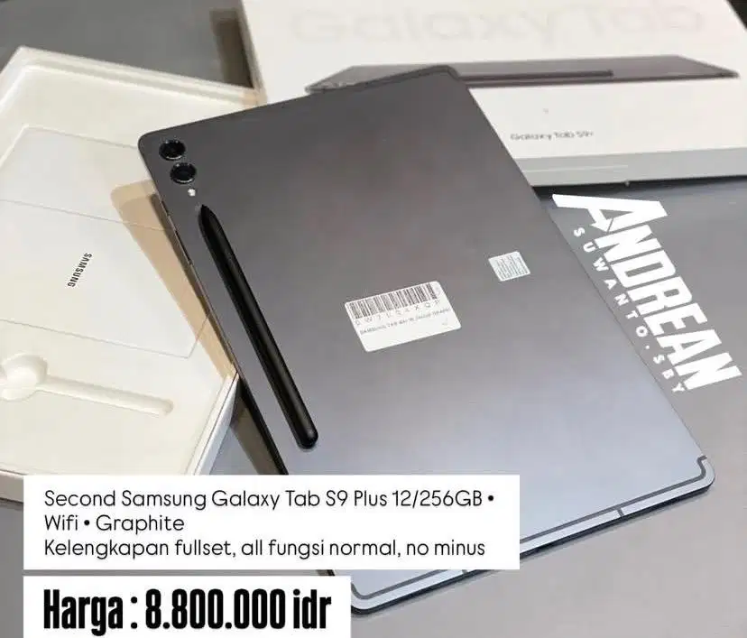 Second Samsung Tab S9 plus 12/256 Gb wifi