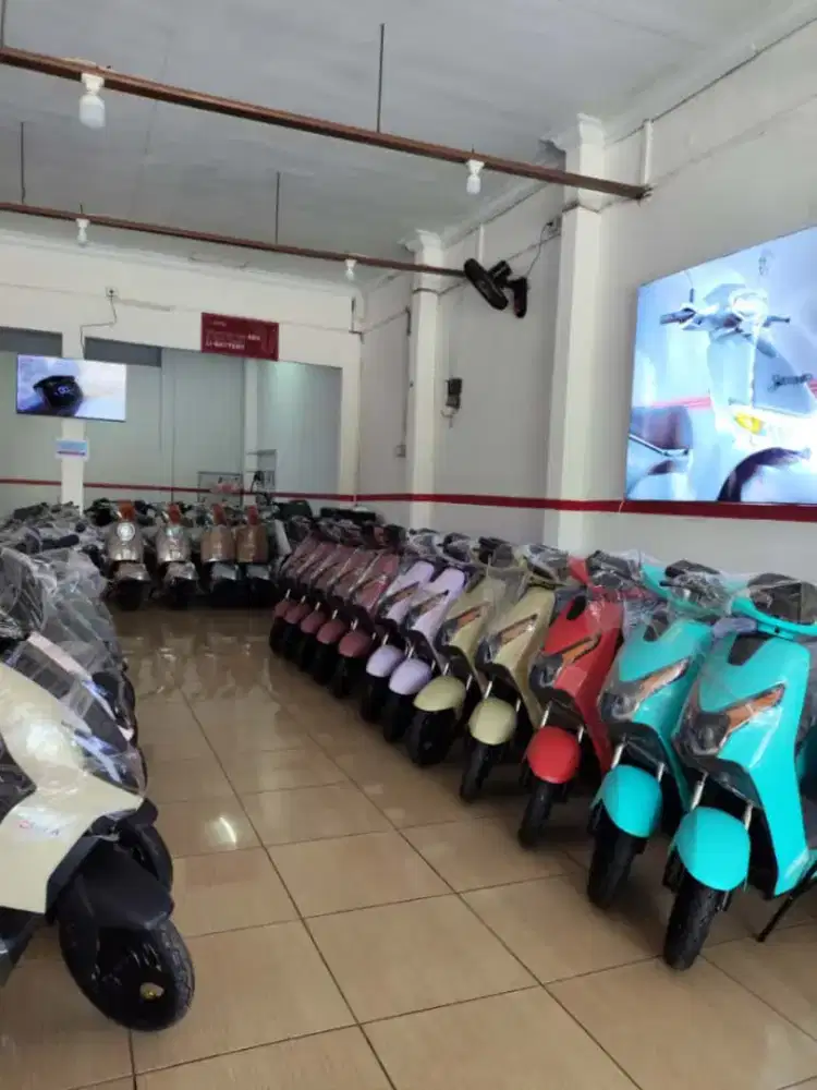 SELIS MOLIS  UWINFLY