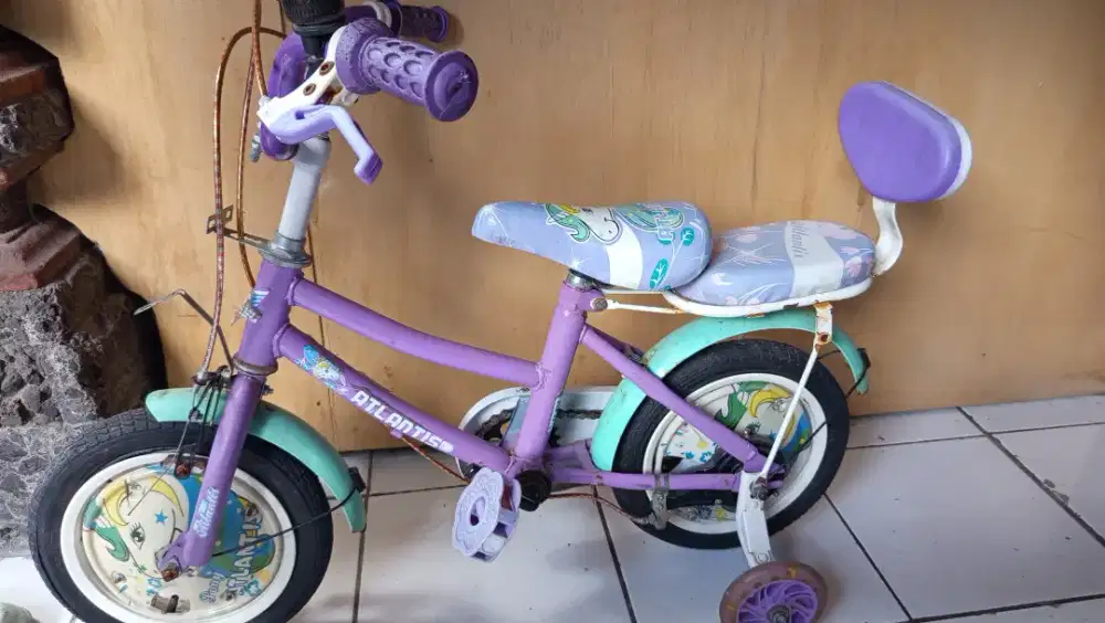 dijual sepeda anak