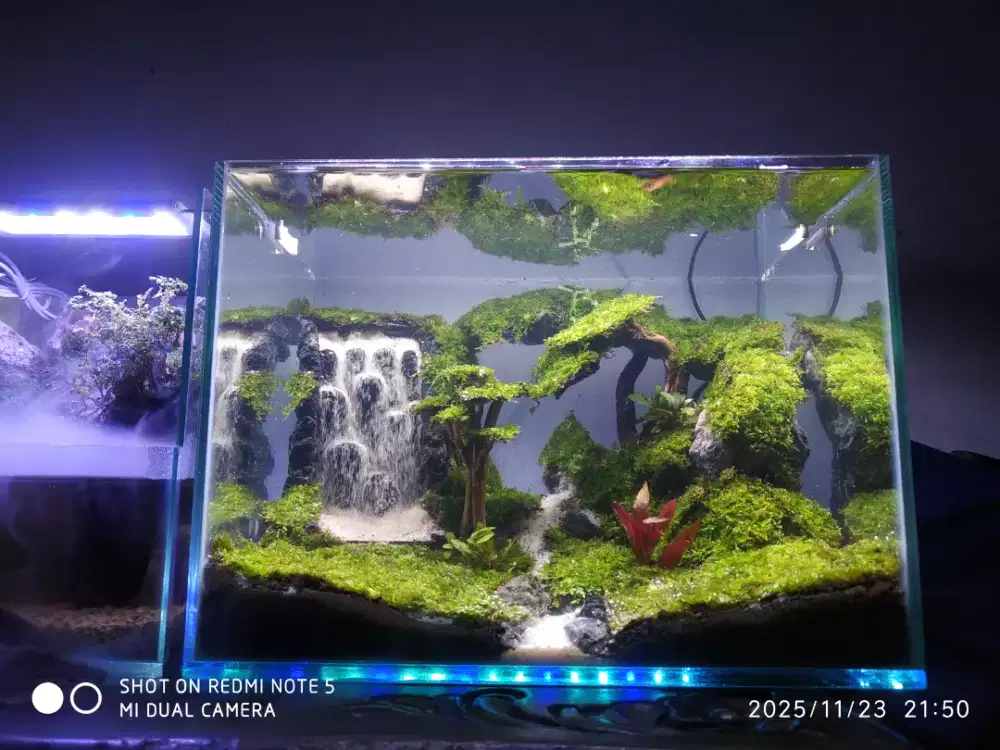 Aquarium aquascape air terjun pasir